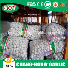 natural garlic/garlic/garlic powder/fresh garlic/garlic price